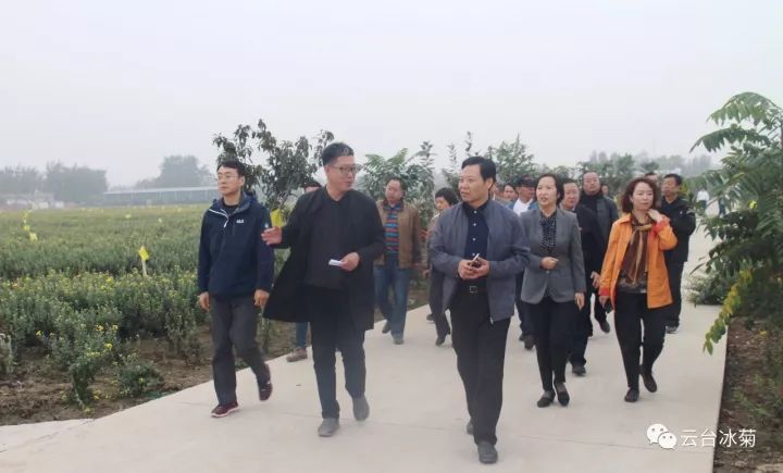 云臺冰菊基地發(fā)生了什么？一批批領導專家團隊前來！